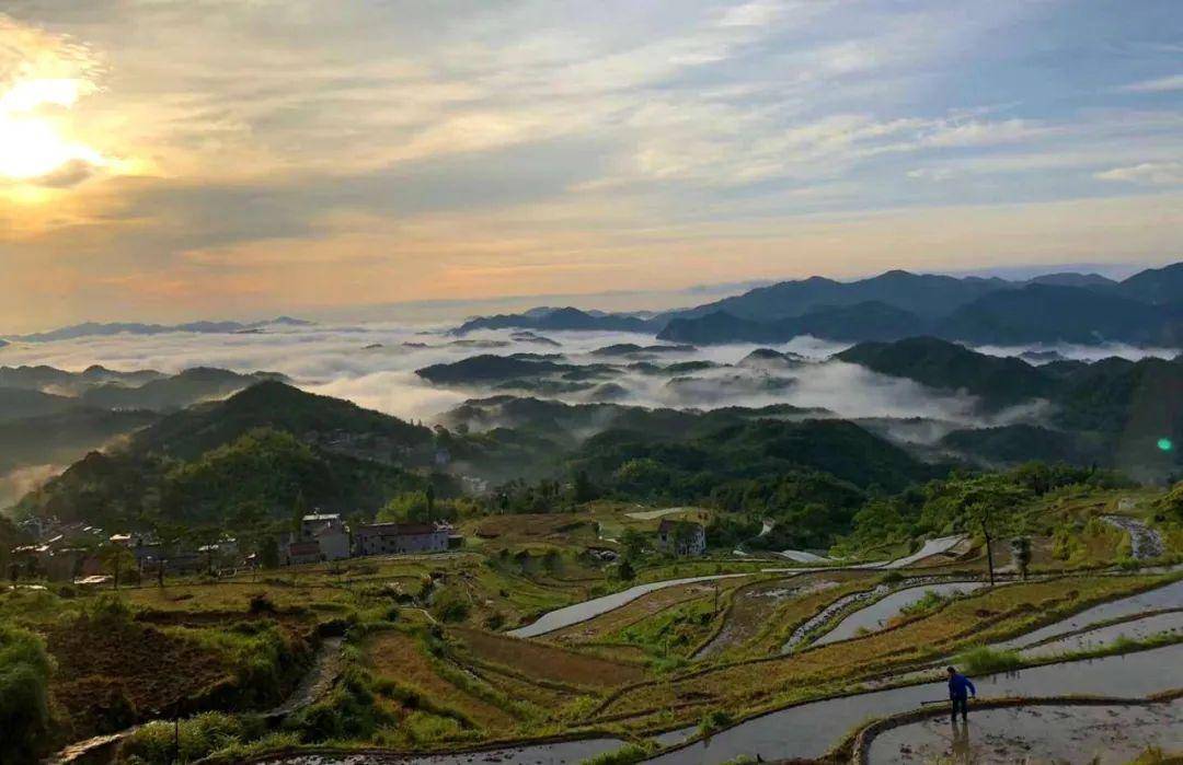 天台县泳溪乡北田村梯田上,又是摄影师如梭,这里的梯田已经开犁,镜面