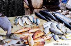菜市场最“坑”的3种鱼，很多人经常买，鱼贩子：我们都不吃