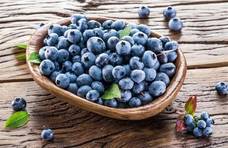 关于蓝莓你不知道的真相。