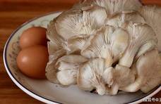 入冬后要多吃蘑菇，加2个鸡蛋，不炒不煮不凉拌，比吃肉还香