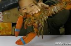 父子俩试吃波士顿龙虾，这么大一只的龙虾，用一根筷子就处理好了