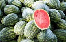 日本的西瓜卖得非常贵，吃瓜群众问：为何不进口我国的瓜呢？