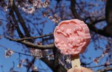 北京植物园推出桃花造型文创雪糕 这个春天粉粉嫩嫩