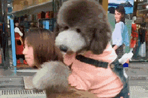 搞笑gif:妈妈救命啊,这个美女要拐我走了