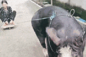 原创开心一笑:老婆大怒:你还敢要三百?滚吧,一毛钱都没!