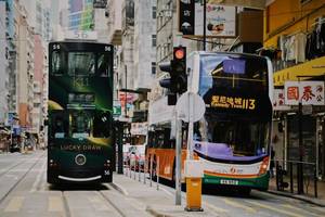 当香港成为留学“退路”