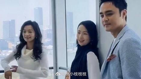 张庭公司被查，曝曾买下17亿大楼，还送给股东陶虹与明道一人一层