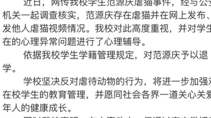 沈阳一男子虐猫,女孩怒火中烧带人将其打伤,结果获刑,你怎么看?