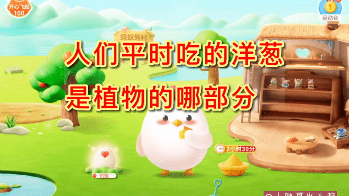 人们平时吃的洋葱是植物的哪部分?
