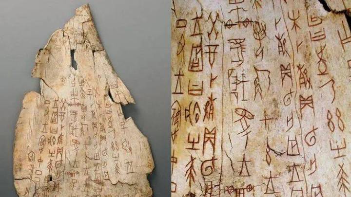 你支持探寻汉字起源吗?