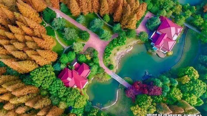 上海上实和风院」即将入市,你看好吗?