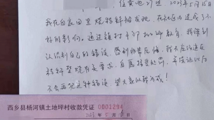 村民因焚烧秸秆被罚2000元并写检讨,你认为合理吗?