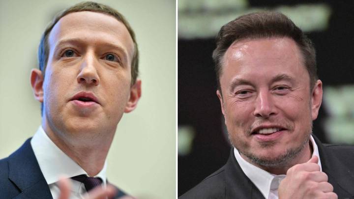 马斯克回应与扎克伯格约架,你觉得可能会被打得很惨吗?