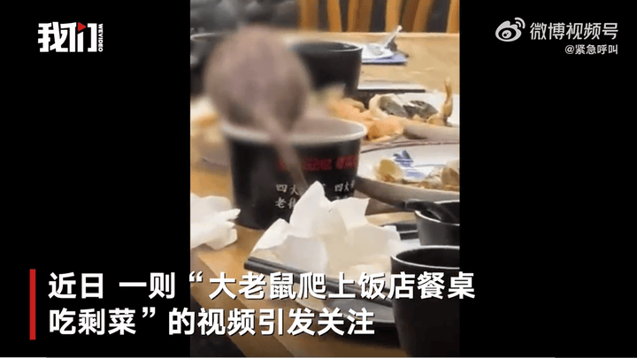 三亚一饭店餐桌上现老鼠吃剩菜,你支持停业整改吗?