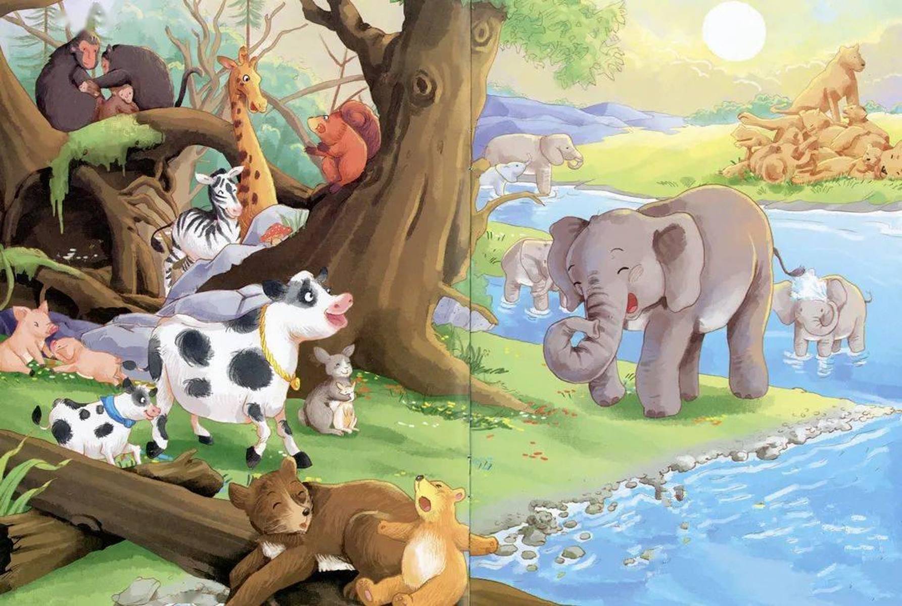 我们的动物朋友 | 朵妈讲故事no.756