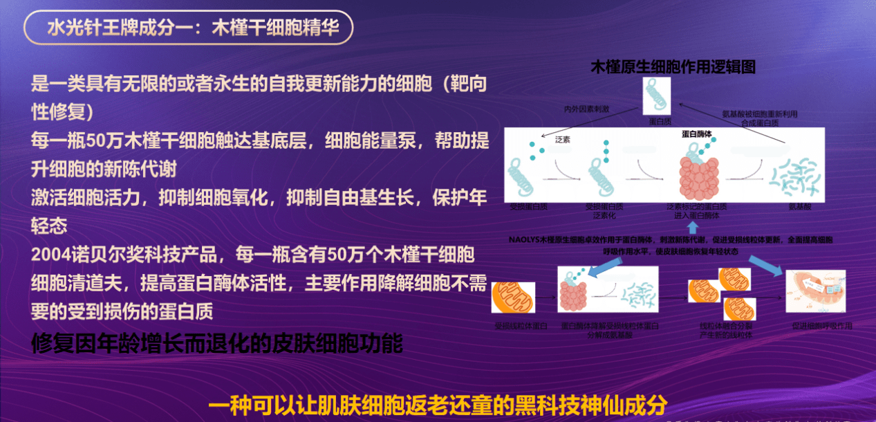 50万木槿干细胞