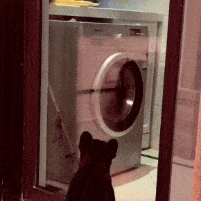 搞笑gif趣图,逗什么都可以,千万别逗猴子….