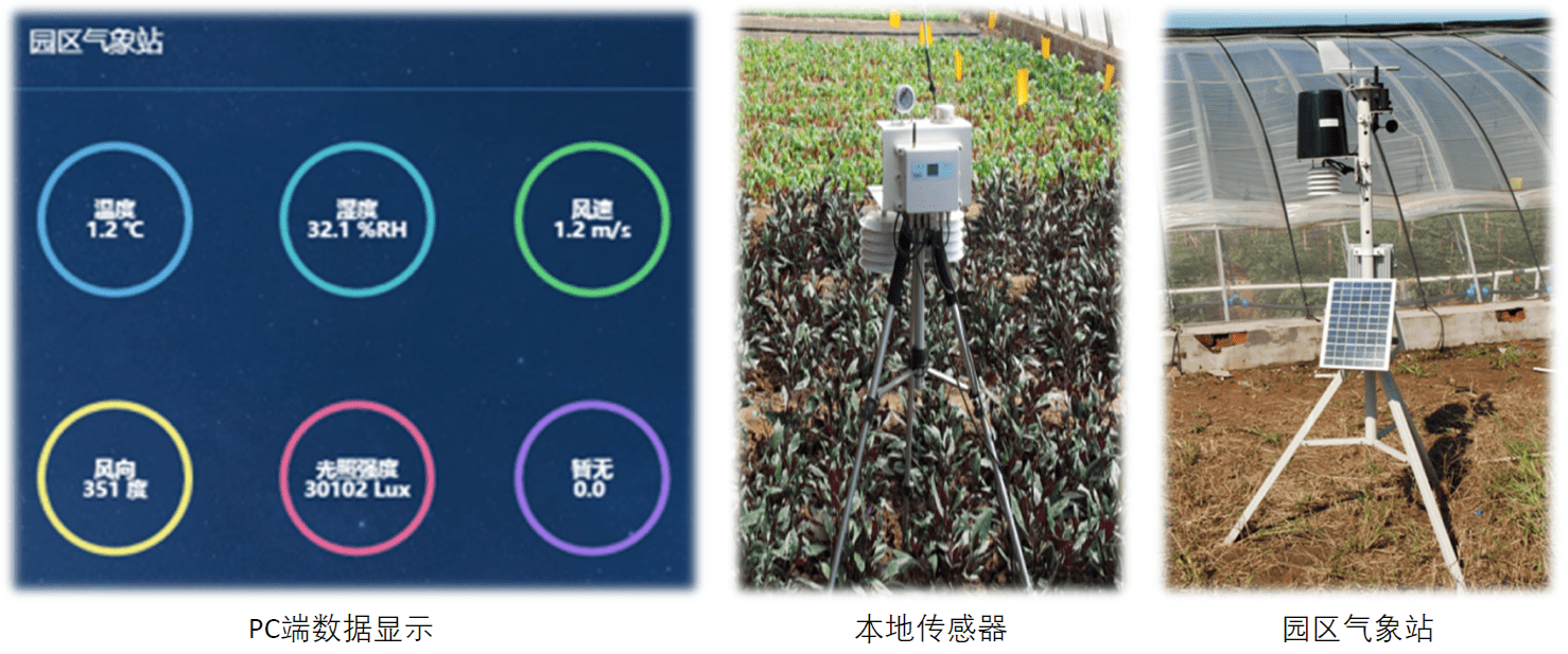 果园内置温湿度传感器,光照传感器等,通过传输设备,实现对果树的实时