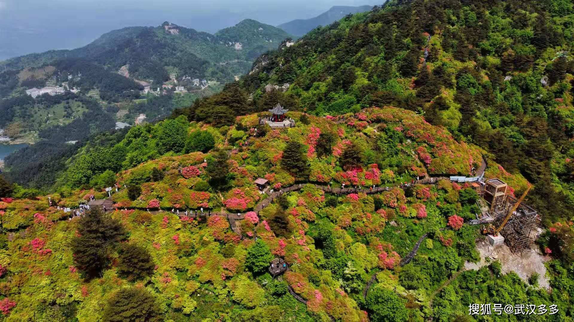 1/ 12 再去麻城龟峰山,主要航拍杜鹃花.