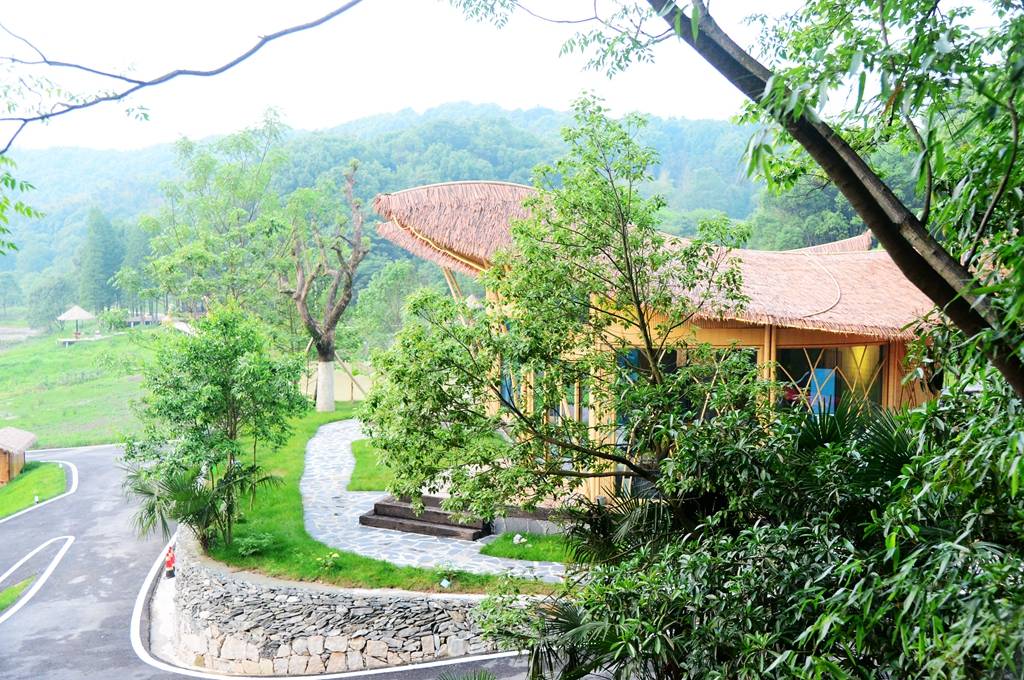 隐一方世界住两个鸟窝长沙五号山谷别有洞天