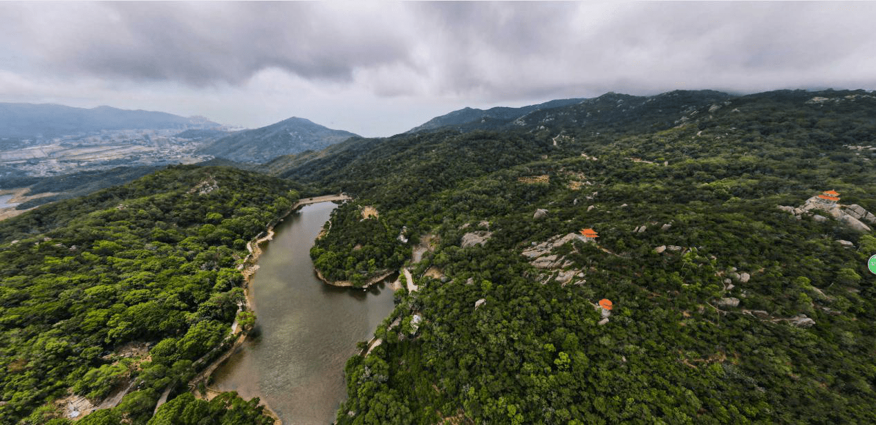 (图/黄花山海岛国家森林公园)