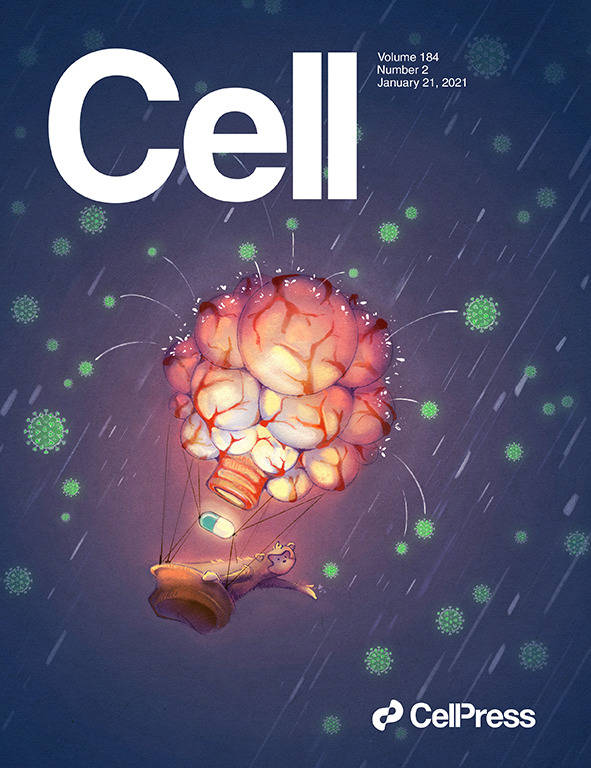 科学与艺术的结合!《cell》100 张期刊封面鉴赏|2021年篇