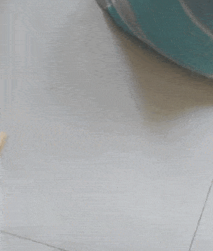 这个胖子说以前瘦的时候他是个跳舞的我们都不信