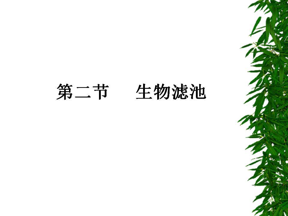 生物膜生物滤池