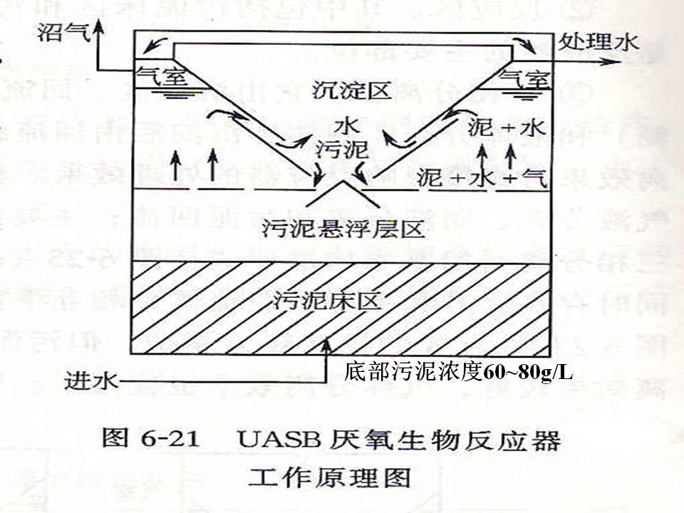 污水的厌氧生物处理方法