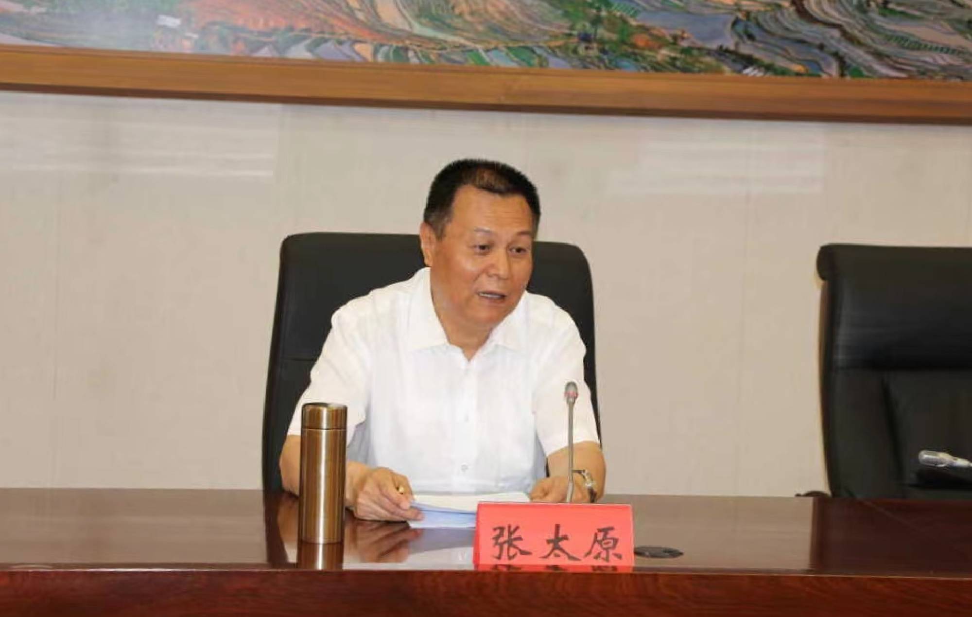 省人大常委会常务副主任张太原作讲话