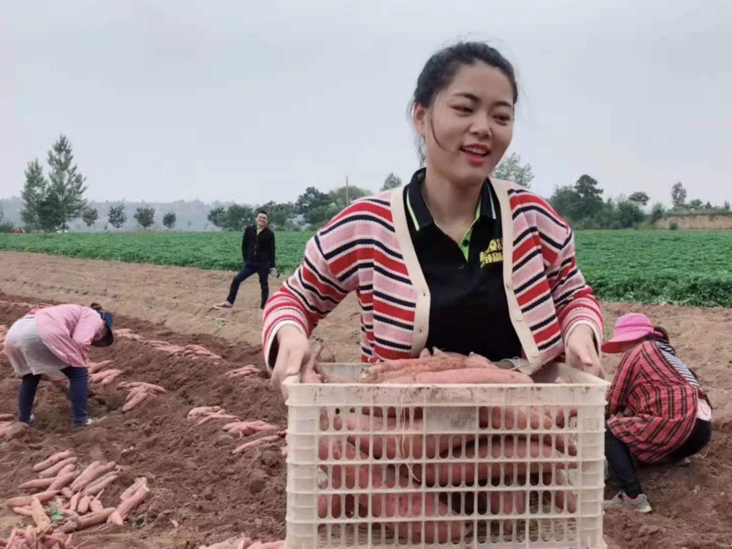 乡村小乔吸金能力强,为啥还没买房?