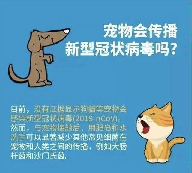 原创猫狗传不传染新冠,不是标题党说了算!