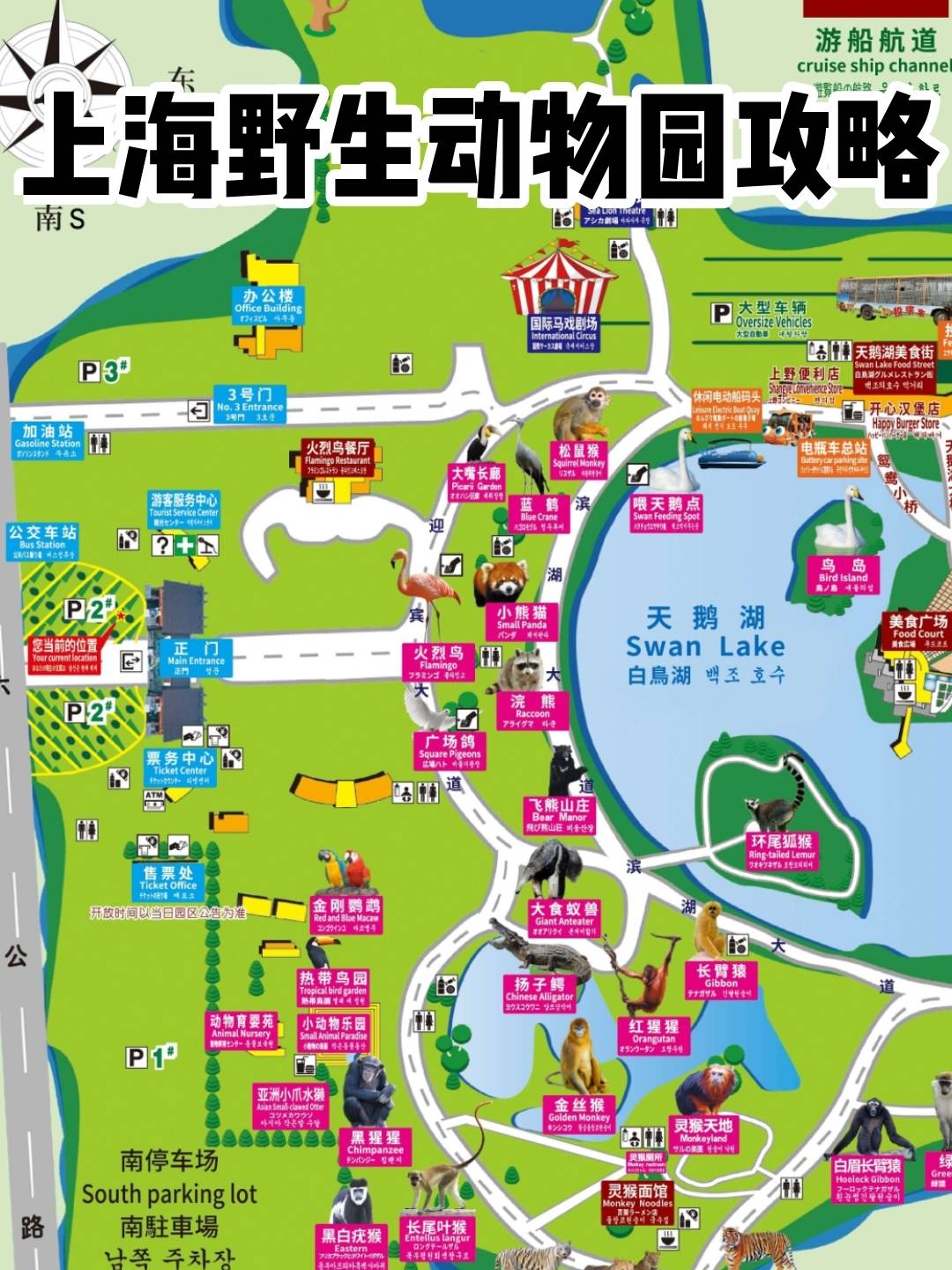 上海野生动物园旅游园区地图游玩路线攻略