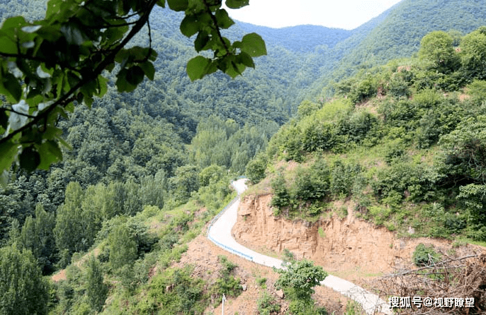 汝阳县十八盘乡刘沟村:种养产业旺 乡村振兴路亮堂