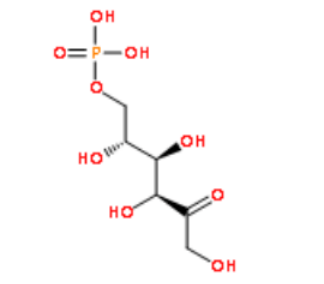 d果糖6磷酸cas643130