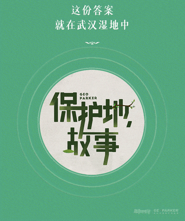 25个作品 撰稿:阿圈 插画:林佰川  动效:龙少洋 设计排版:林佰川 编辑