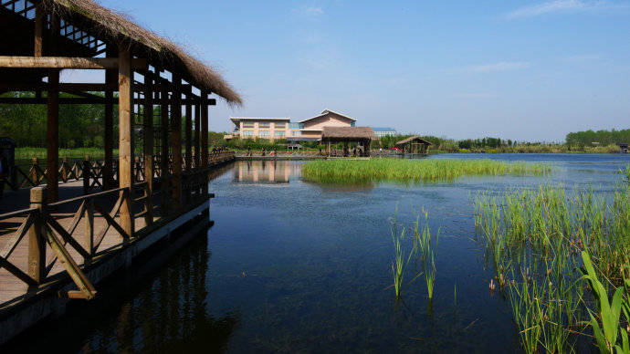 溱湖国家湿地公园_姜堰