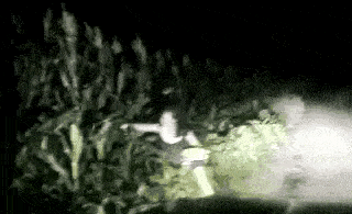 妹子,你们这是在干什么呀,带我一个呗