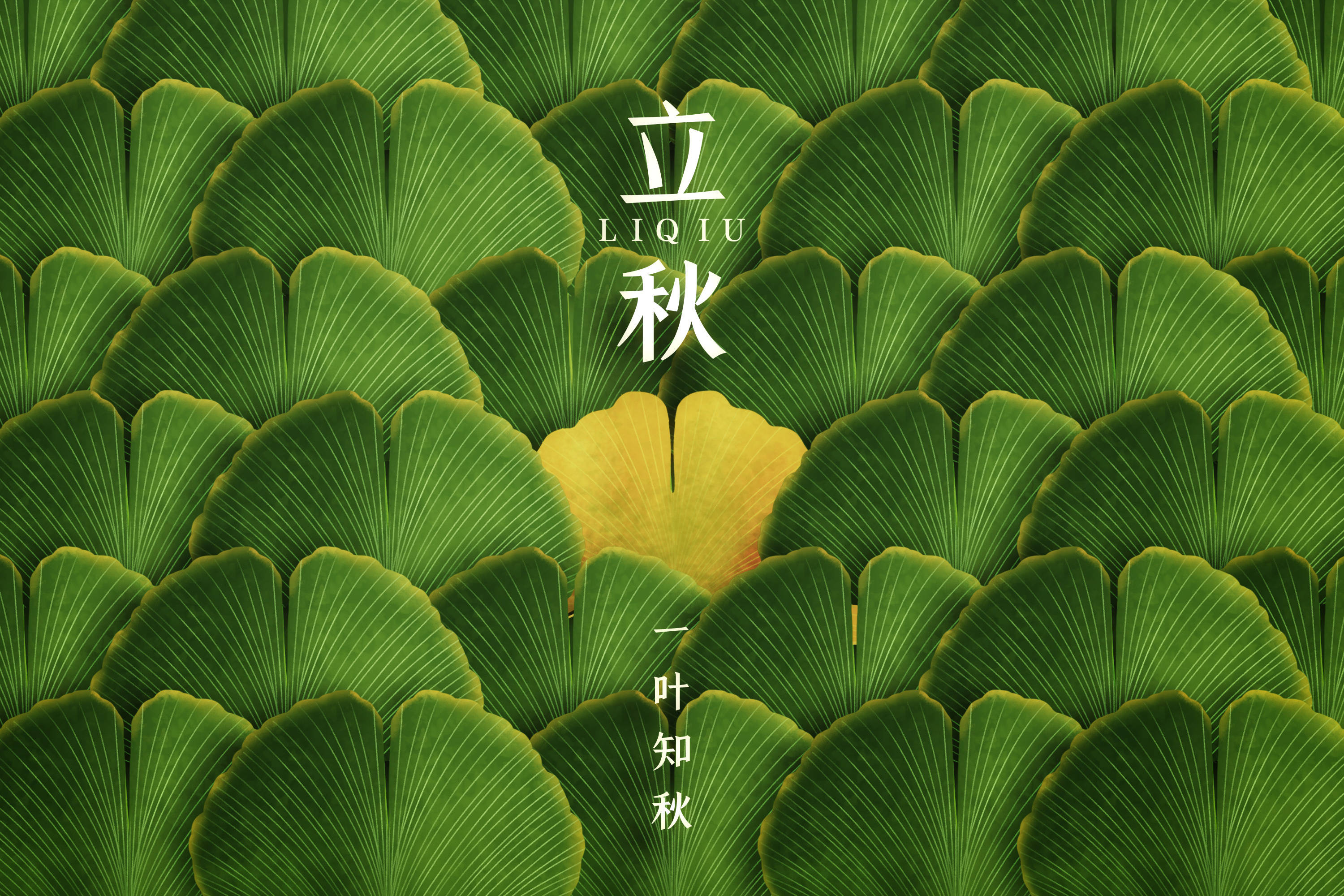 今日立秋玄蝉无停号秋燕已如客