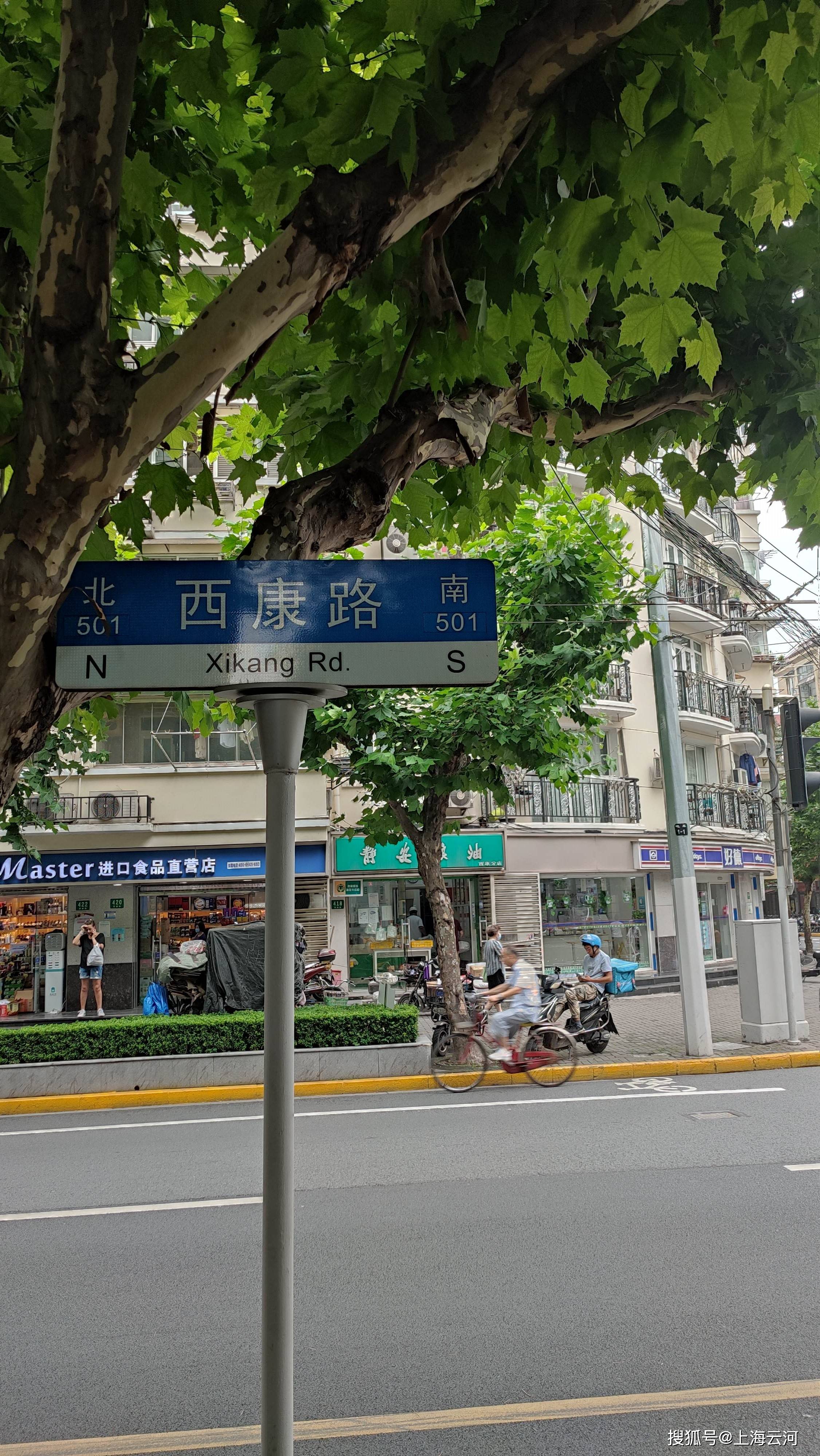 上海街头,西康路,梧桐树茂盛(5)