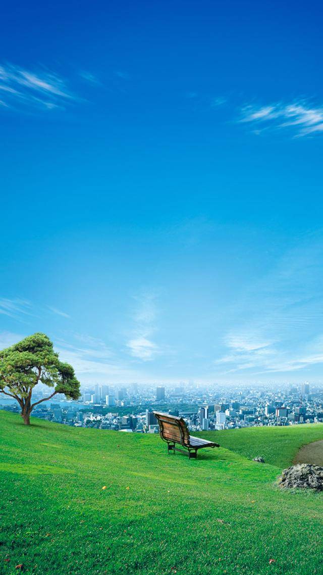 陆介政:青山绿水