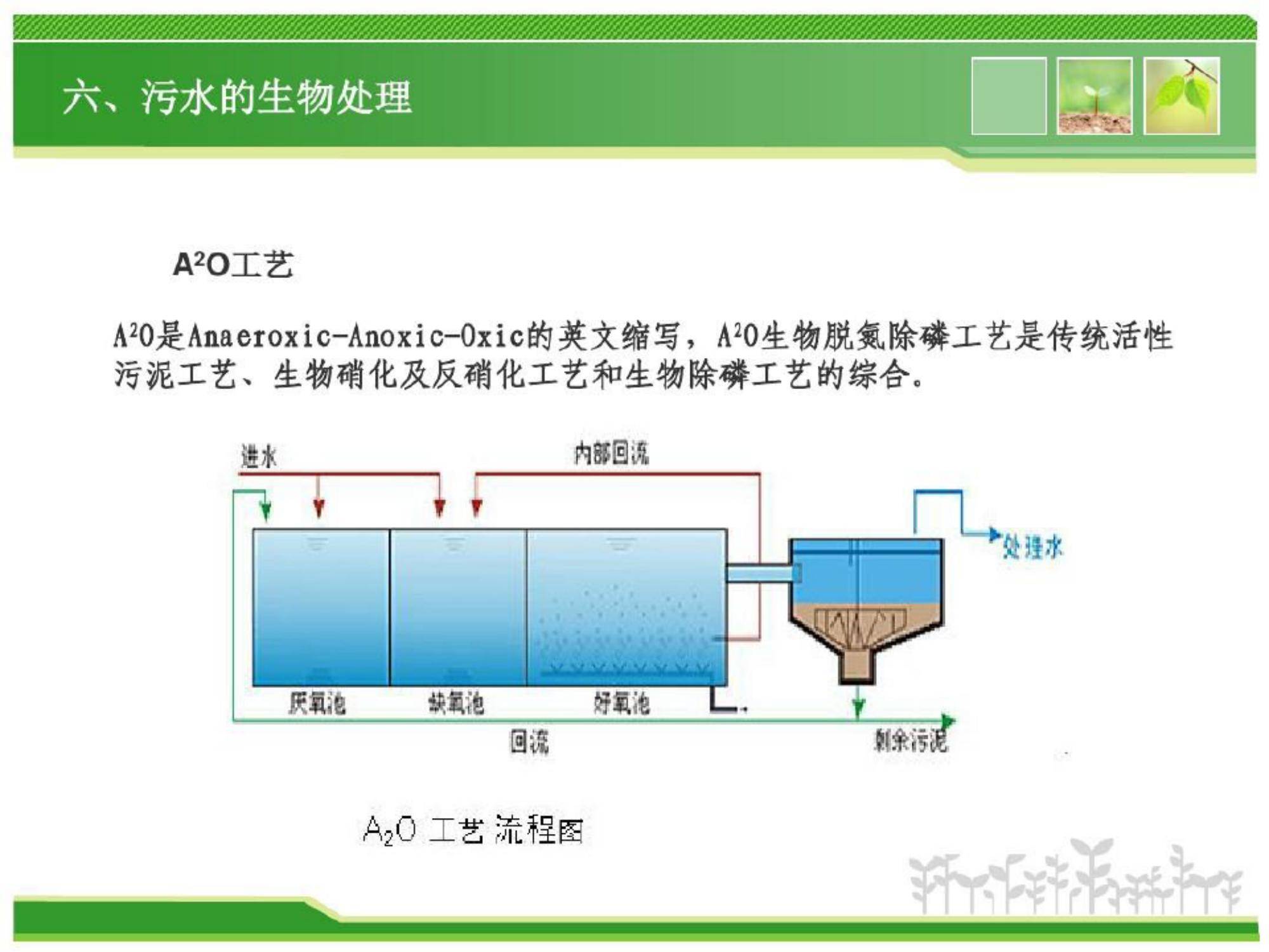 污水的生物处理