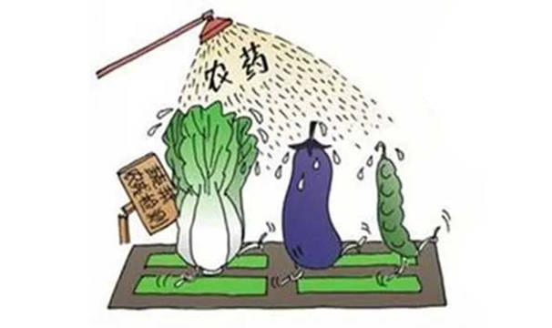 农药残留对我们大家有什么危害呢?