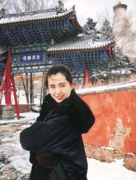 王祖贤的祖父王国藩曾祖父王仁峰,他们与舒城中学的渊源