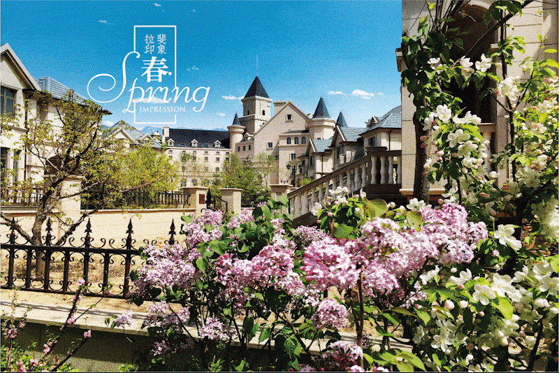 动起来,反映问题,收集线索,交流情况,群策群力,很快就成立了一个500余