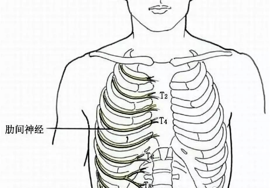 还有胸椎小关节和胸肋小关节错位,紊乱,压迫刺激到肋间神经引起前胸