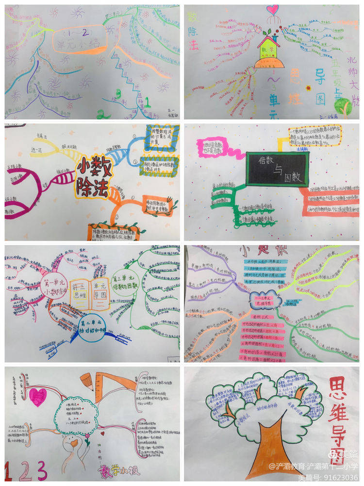 数学思维导图彰显数学魅力五年级数学实践活动