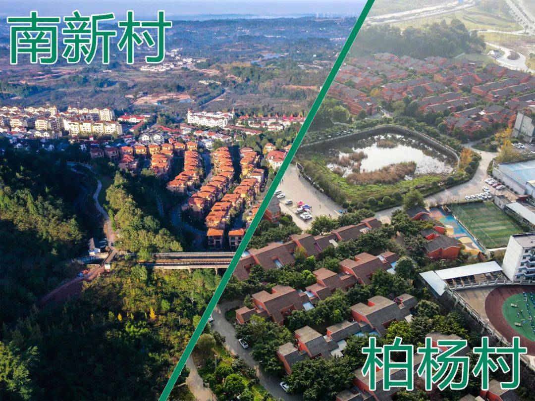 天府新区永兴街道南新村新兴街道柏杨村荣获2021年度乡村振兴示范村