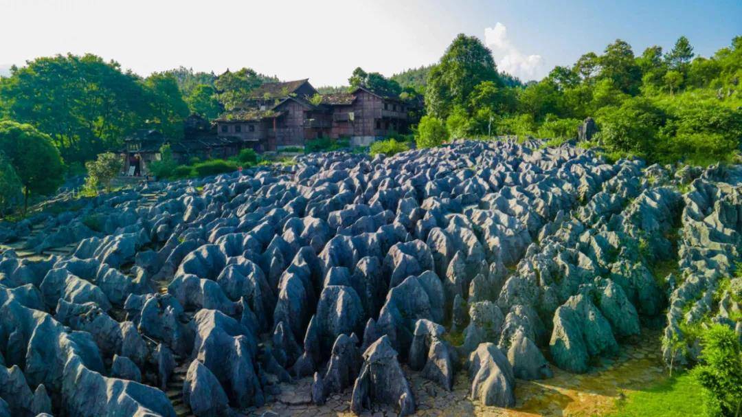 底蕴流淌过千年的时光三江滚滚尽享酒都美景赏山水,住民宿招商电话