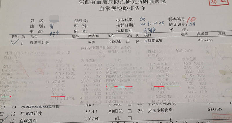 再生障碍性贫血患者中西医结合治疗后重获新生_郝其军_血象_骨髓